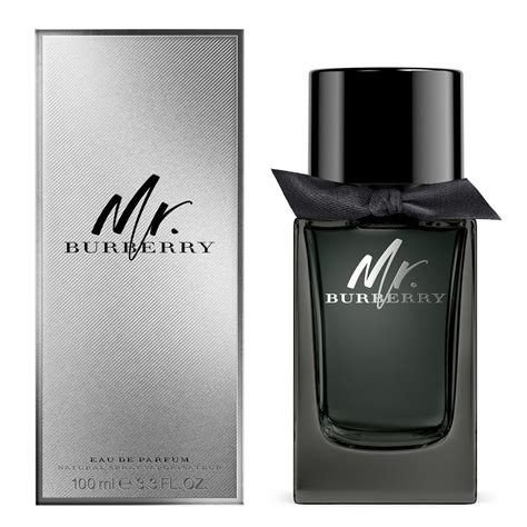 mr burberry 100ml parfum|Burberry perfume for men's price.